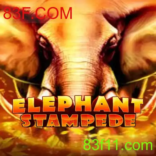 ElephantStampede